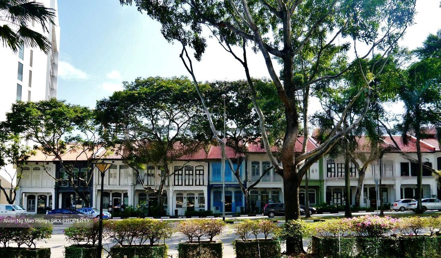 Bukit Pasoh Conservation Area (D2), Shop House #473616151